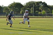 Enlarge photo 73