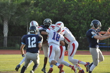 Enlarge photo 91