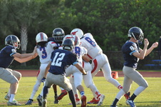 Enlarge photo 92