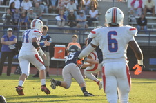 Enlarge photo 128