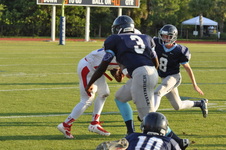 Enlarge photo 149