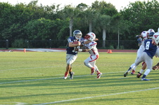 Enlarge photo 195