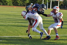 Enlarge photo 202