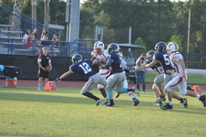 Enlarge photo 218