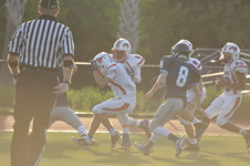 Enlarge photo 229