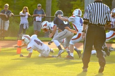 Enlarge photo 230