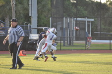 Enlarge photo 249