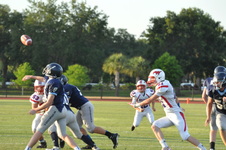 Enlarge photo 264