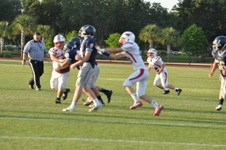 Enlarge photo 265