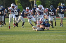 Enlarge photo 269