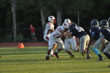Enlarge photo 275
