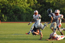 Enlarge photo 306