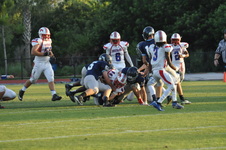 Enlarge photo 315