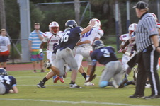 Enlarge photo 446