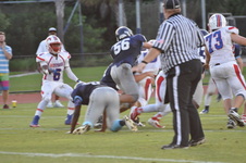 Enlarge photo 447