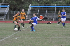 Enlarge photo 92