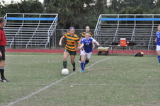 Enlarge photo 95