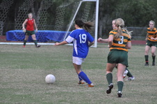 Enlarge photo 105