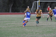 Enlarge photo 113