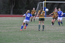 Enlarge photo 114