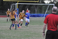 Enlarge photo 117
