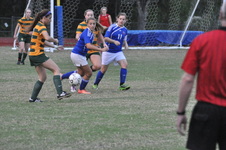 Enlarge photo 116