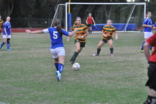 Enlarge photo 119