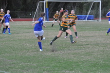 Enlarge photo 120