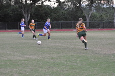 Enlarge photo 124