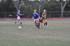 Enlarge photo 133