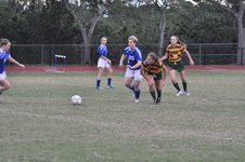 Enlarge photo 132