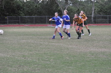 Enlarge photo 135