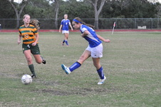 Enlarge photo 154