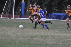 Enlarge photo 211