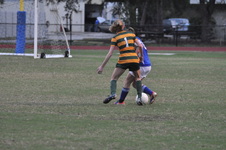 Enlarge photo 223