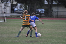 Enlarge photo 225