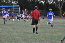 Enlarge photo 238