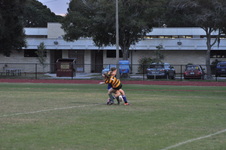 Enlarge photo 278