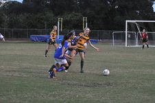 Enlarge photo 319