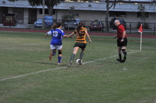 Enlarge photo 321