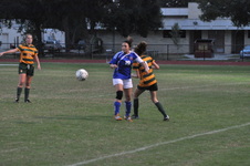Enlarge photo 326