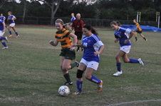 Enlarge photo 333