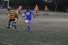 Enlarge photo 359