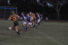 Enlarge photo 490