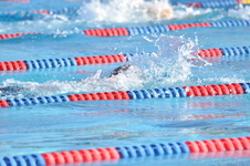 Enlarge photo 33