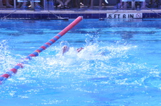 Enlarge photo 49