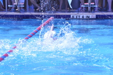 Enlarge photo 51