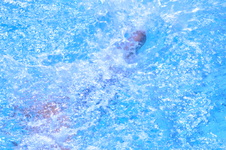 Enlarge photo 61