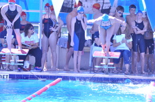 Enlarge photo 63