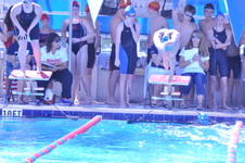 Enlarge photo 65